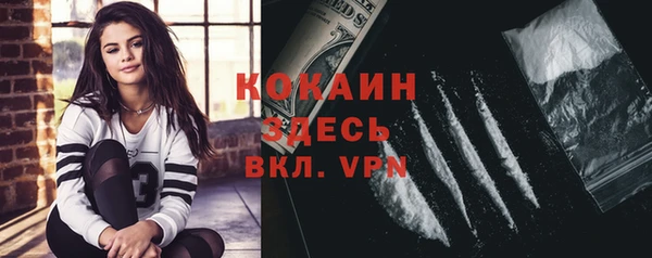 спиды Ельня