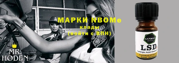 спиды Ельня