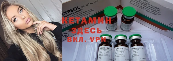 крисы Елабуга