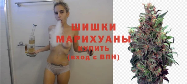 крисы Елабуга