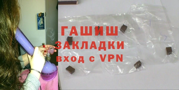 спиды Ельня
