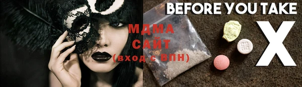 спиды Ельня