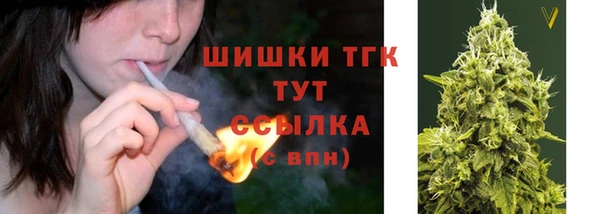 спиды Ельня