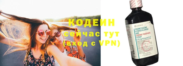 спиды Ельня