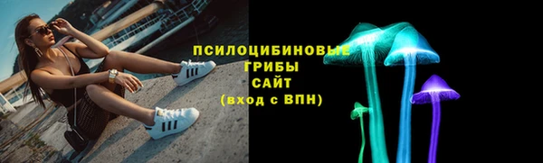 крисы Елабуга
