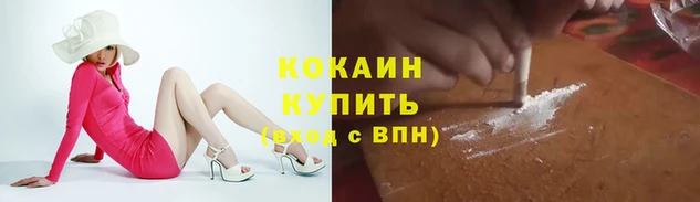 крисы Елабуга