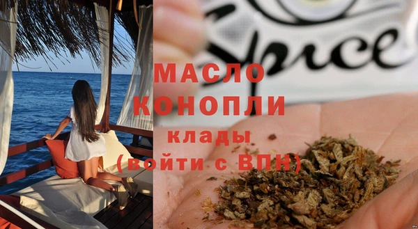 крисы Елабуга