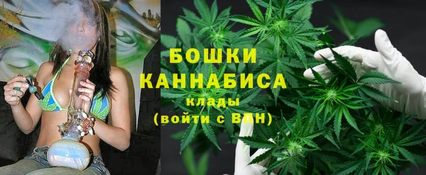 крисы Елабуга