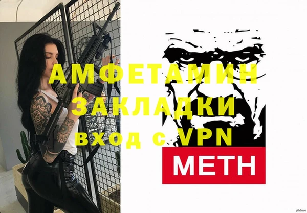 спиды Ельня