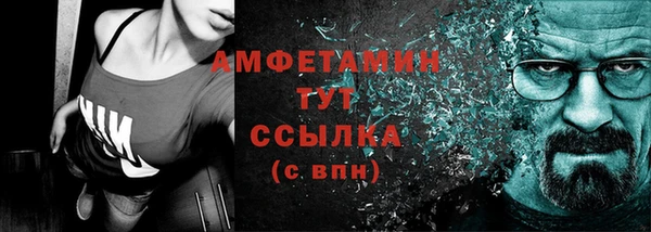 спиды Ельня