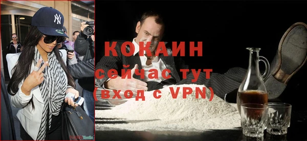 спиды Ельня