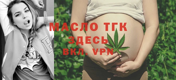 спиды Ельня