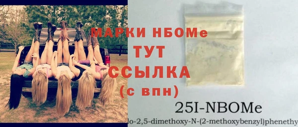 спиды Ельня