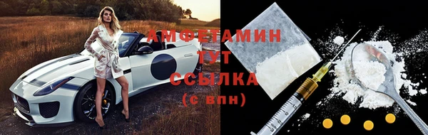 спиды Ельня