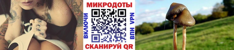 Галлюциногенные грибы Cubensis  где найти наркотики  Нерюнгри 