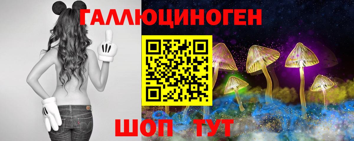 Галлюциногенные грибы MAGIC MUSHROOMS Нерюнгри